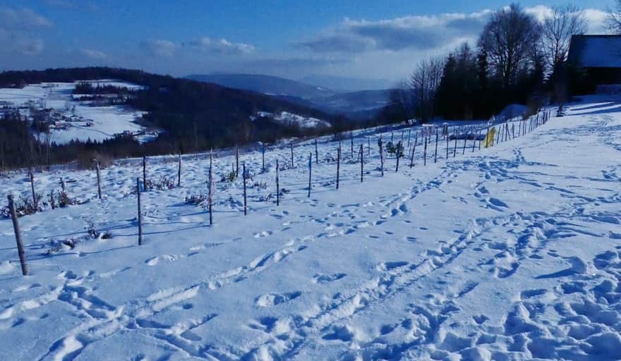Widoki z przełęczy pod Koskową Górą