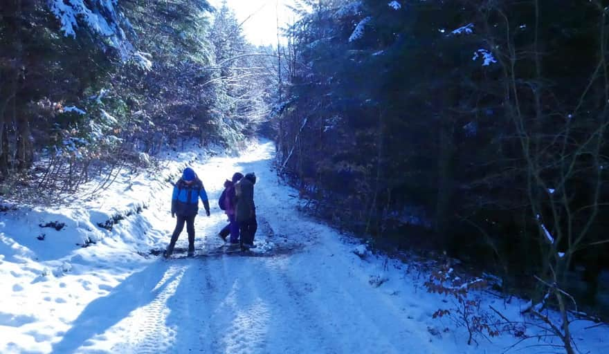 Blue trail to Koskowa Góra