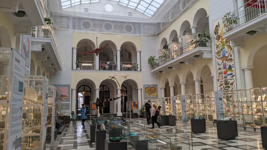 Muzeum Geologiczne PIG w Warszawie