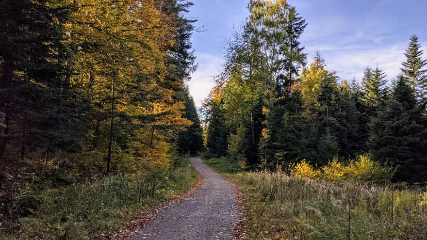 From Myślenice to Kudłacze - blue trail