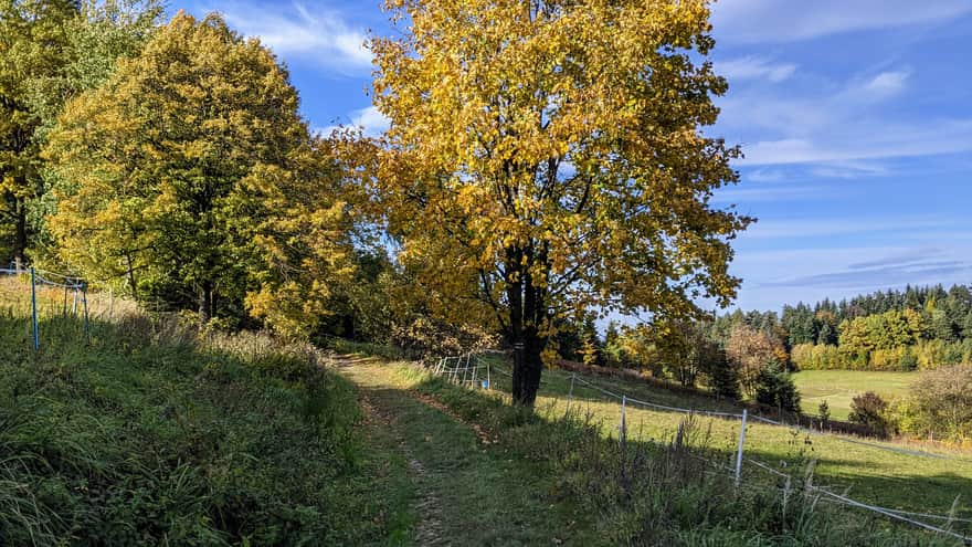 From Myślenice to Kudłacze - blue trail