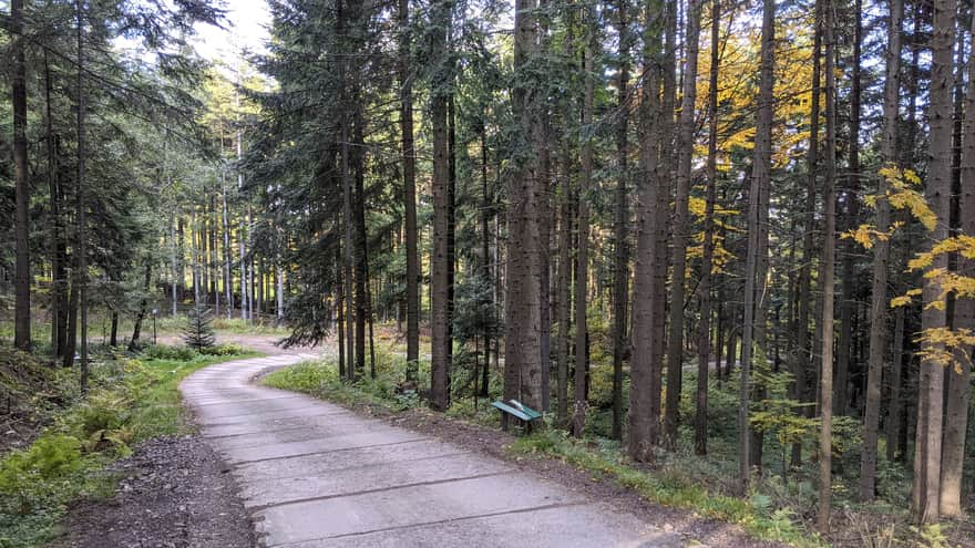 Z Myślenic na Kudłacze - przejście z niebieskiego do czerwonego szlaku