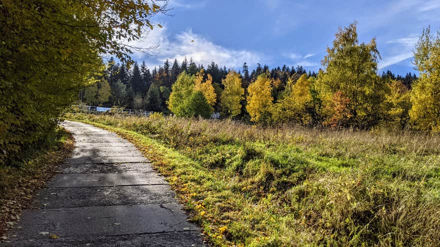 From Myślenice to Kudłacze - transition from blue to red trail