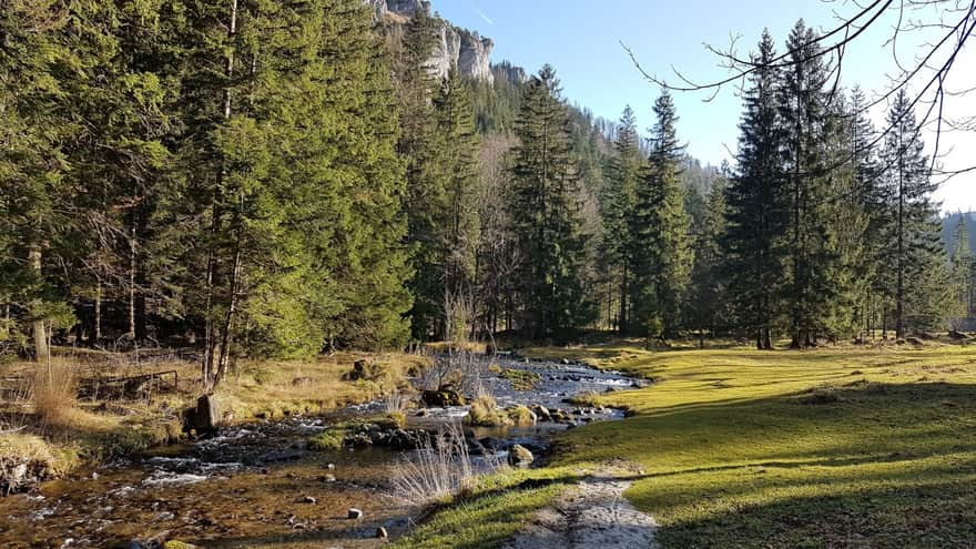 Bystra Stream beneath Nosal