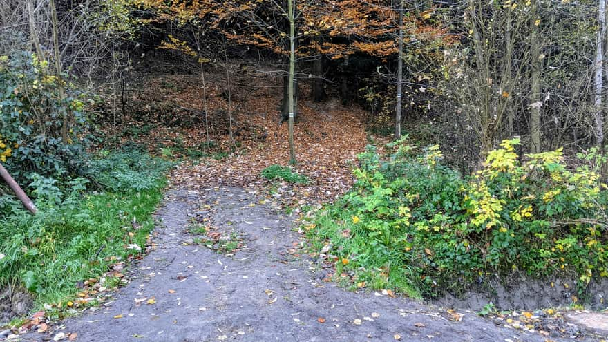 From Myślenice to Mount Chełm - the beginning of the forest section and ascent.