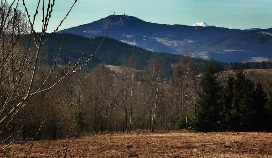 Luboń Wielki i Babia Góra w  "zimowej czapce" z Przełęczy Gruszowiec
