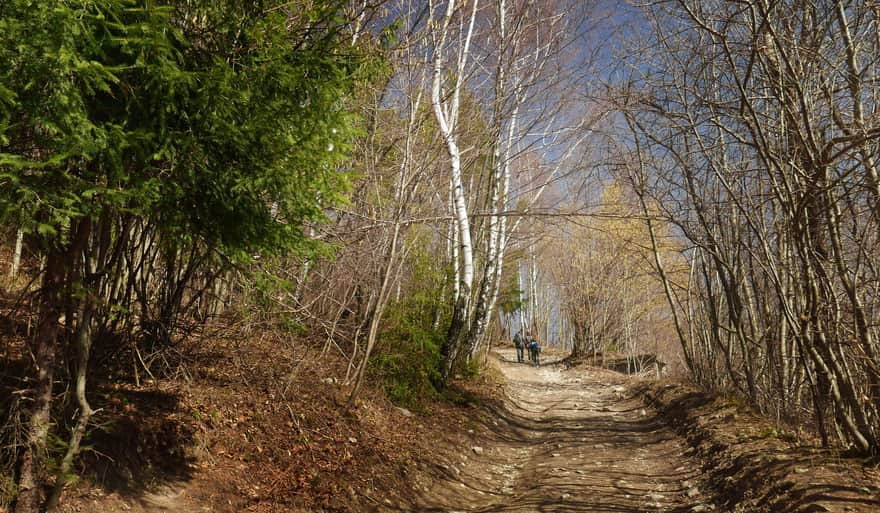 Blue and green trail from Gruszowiec to Śnieżnica