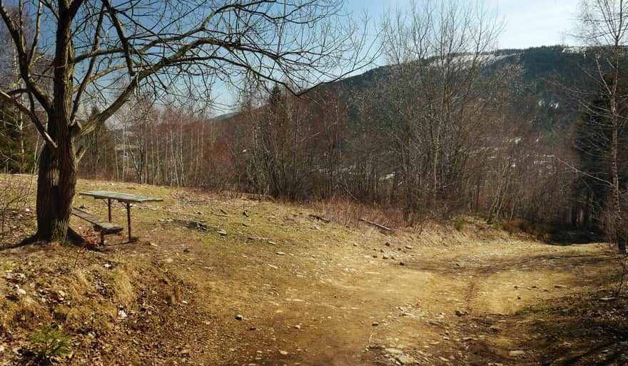 Northern, steep slopes of Ćwilin - view from the trail to Śnieżnica