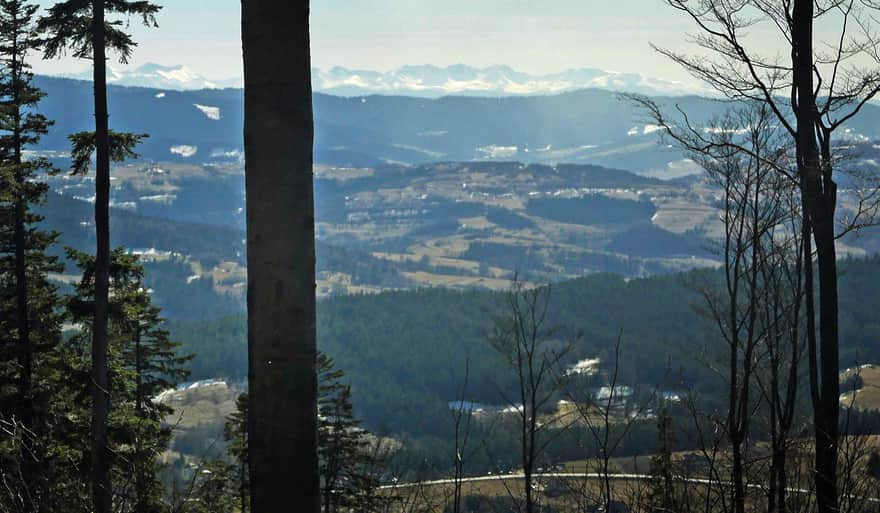 Tatra Mountains from Śnieżnica. View from the green trail.