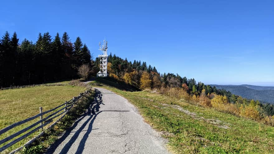 Mount Chełm - observation tower