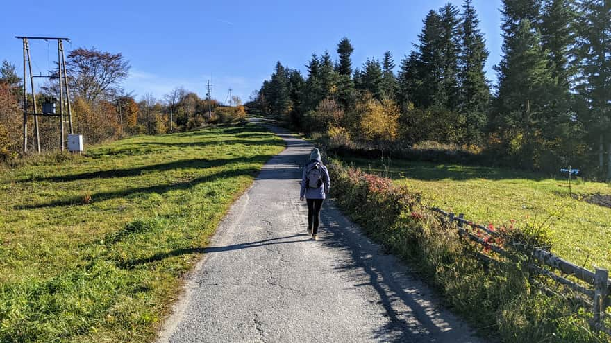 From Mount Chełm to Kudłacze Shelter