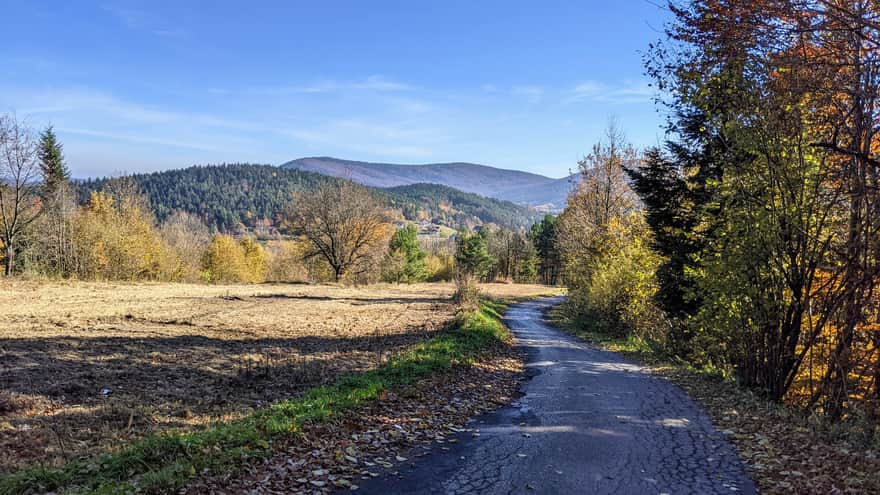 Z góry Chełm do schroniska Kudłacze