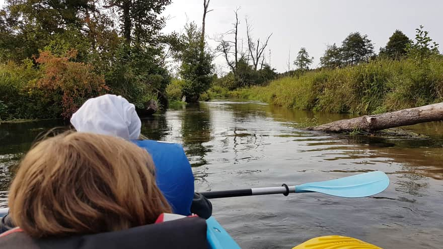 Kayaking on the Wieprz River