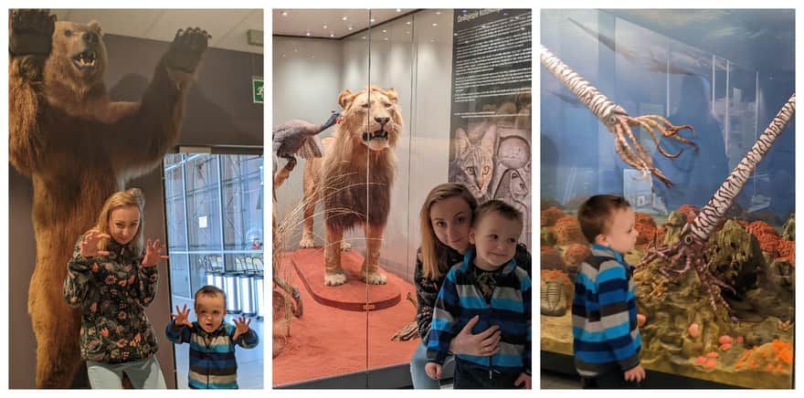 Nature Education Center of Jagiellonian University in Krakow