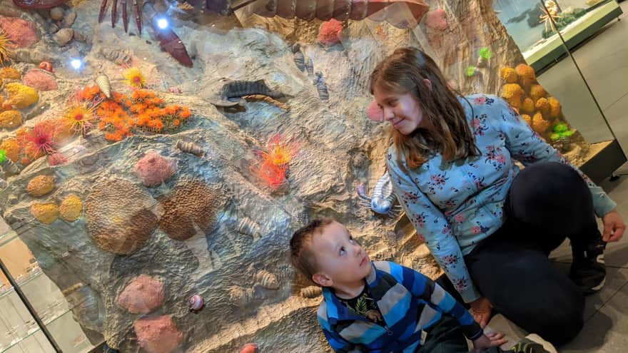 Nature Education Center of Jagiellonian University in Krakow