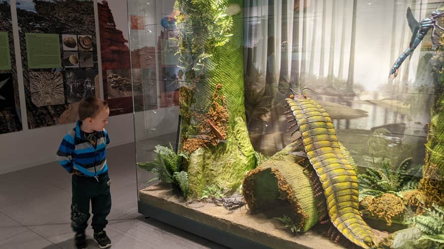 Natural Education Center UJ in Krakow