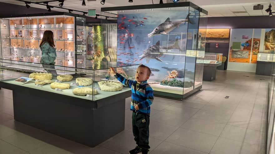 Nature Education Center of Jagiellonian University in Krakow