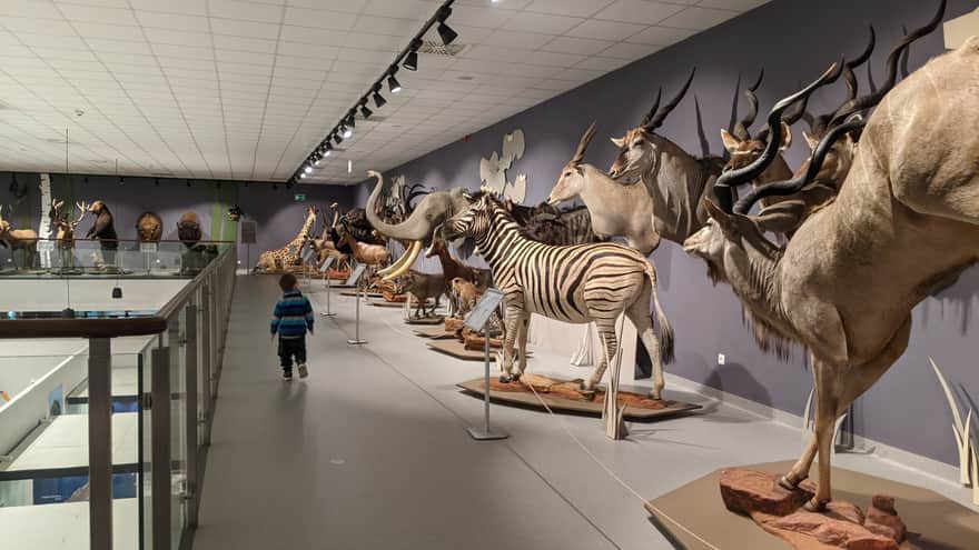 Nature Education Center of Jagiellonian University in Krakow