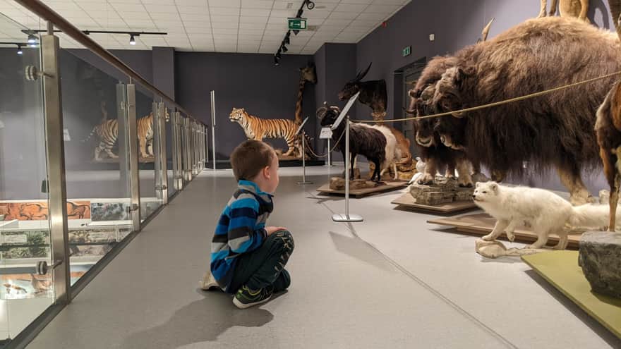 Nature Education Center of Jagiellonian University in Krakow