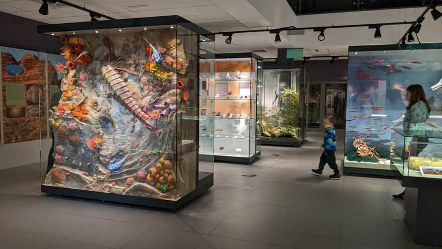 Nature Education Center of Jagiellonian University in Krakow