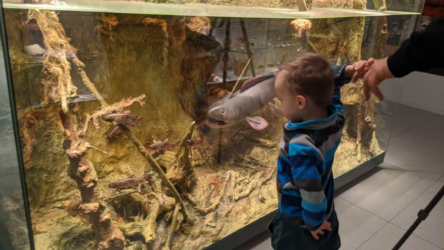 Nature Education Center of Jagiellonian University in Krakow