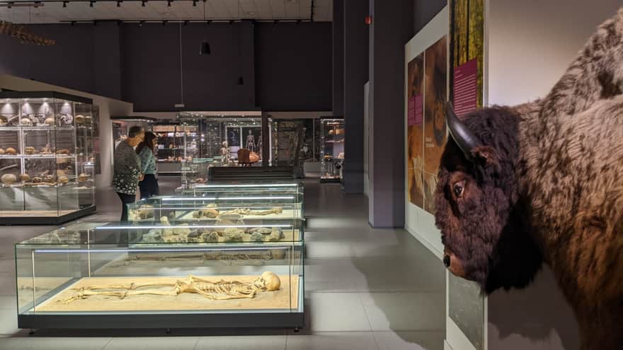 Nature Education Center of Jagiellonian University in Krakow