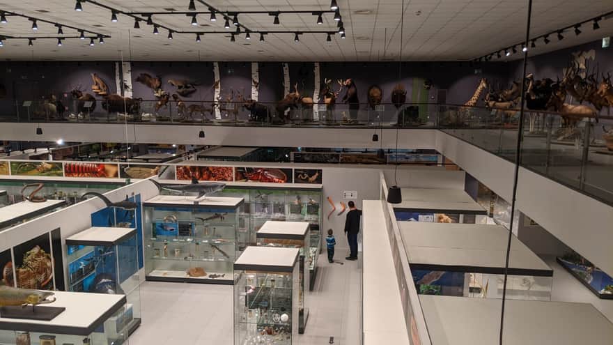 Nature Education Center of Jagiellonian University in Krakow