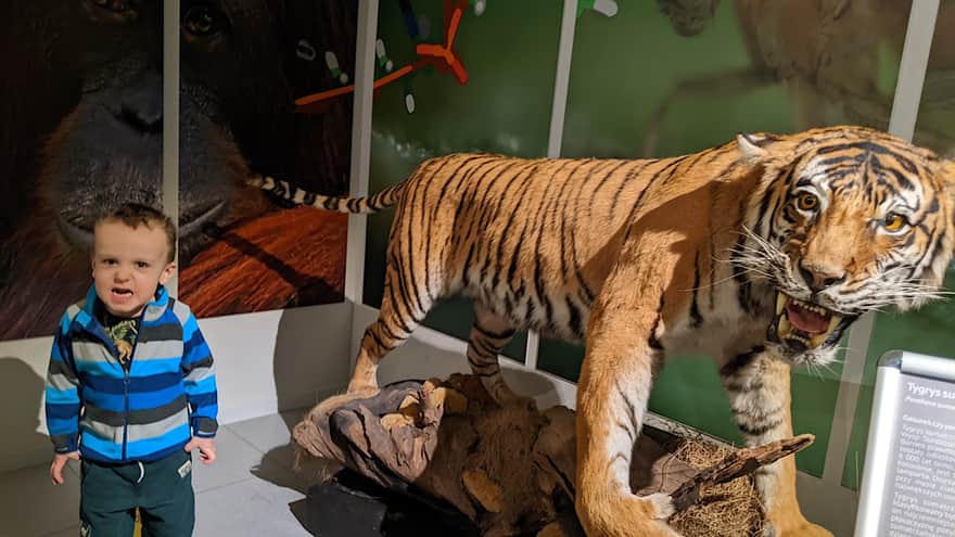 Nature Education Center of Jagiellonian University in Krakow
