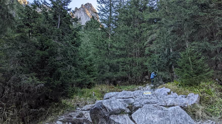 Podejście na Giewont - żółty szlak za Polaną Małej Łąki dnem Głazistego Żlebu