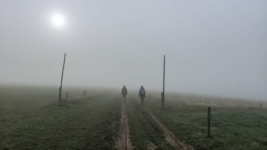 Polana Majerz - mgła