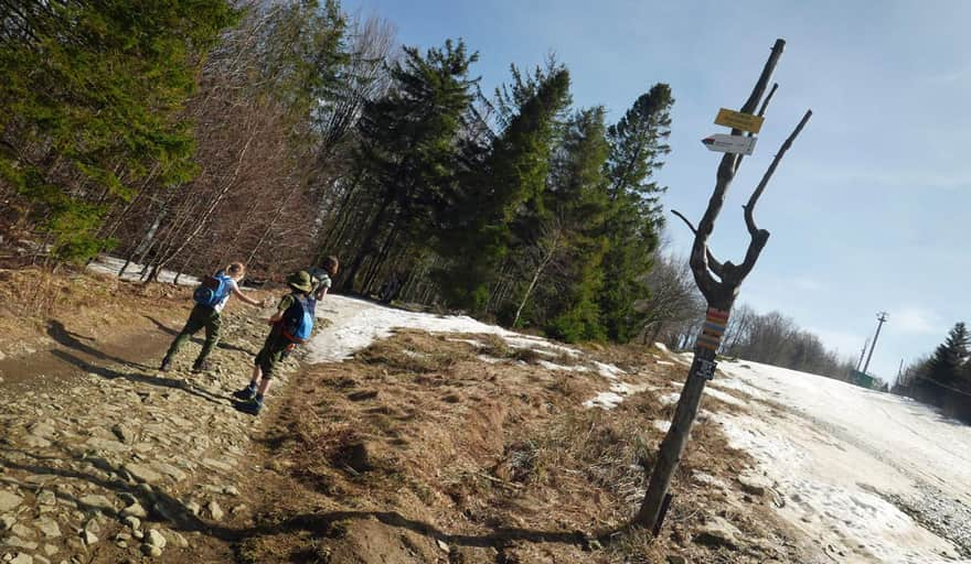 On the way to Szyndzielnia - crossing the meadow / ski slope