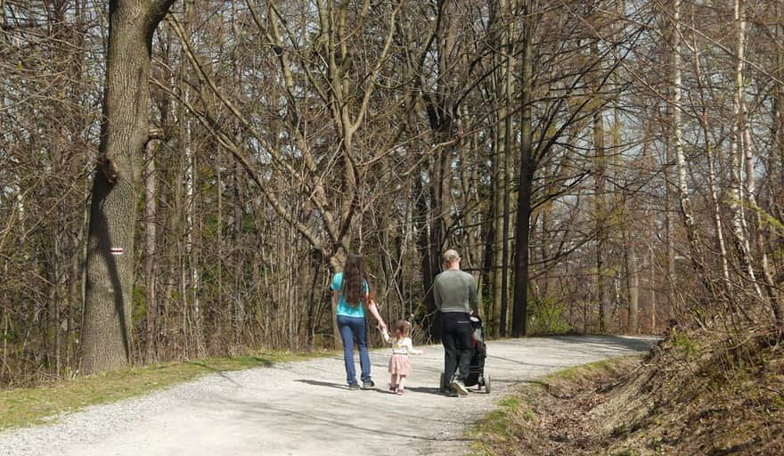 Red trail to Dębowiec