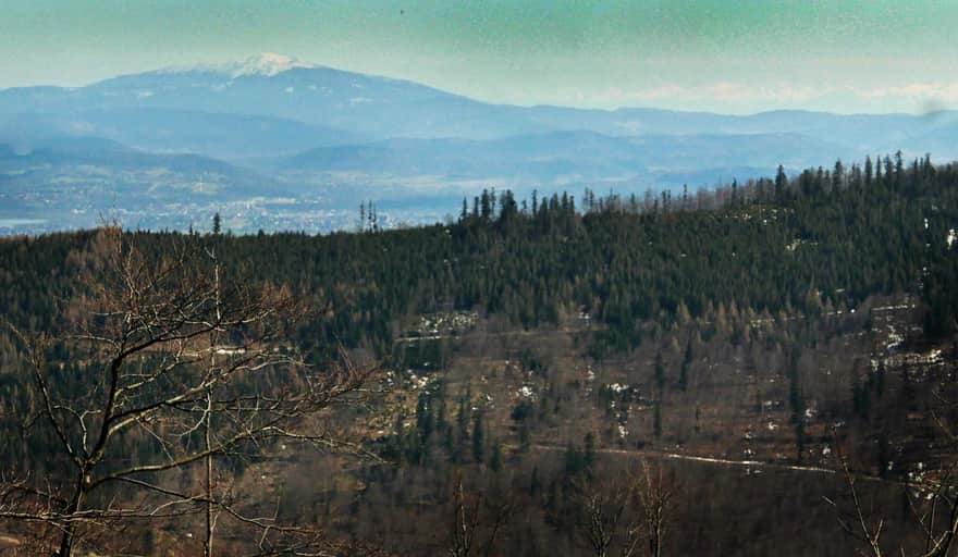 Babia Góra from Szyndzielnia