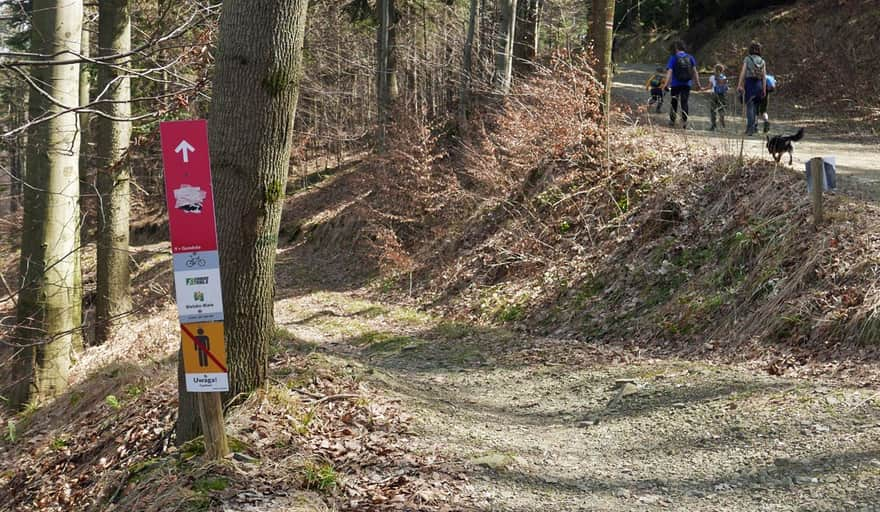 Bike trails on Szyndzielnia