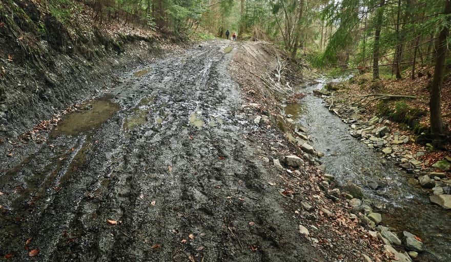 Zielony szlak na Mogielicę z Półrzeczek - droga wzdłuż strumienia