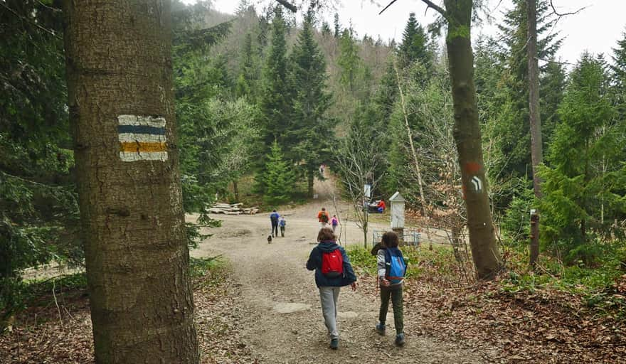 Przełęcz pod Małym Krzysztonowem - skrzyżowanie szlaków