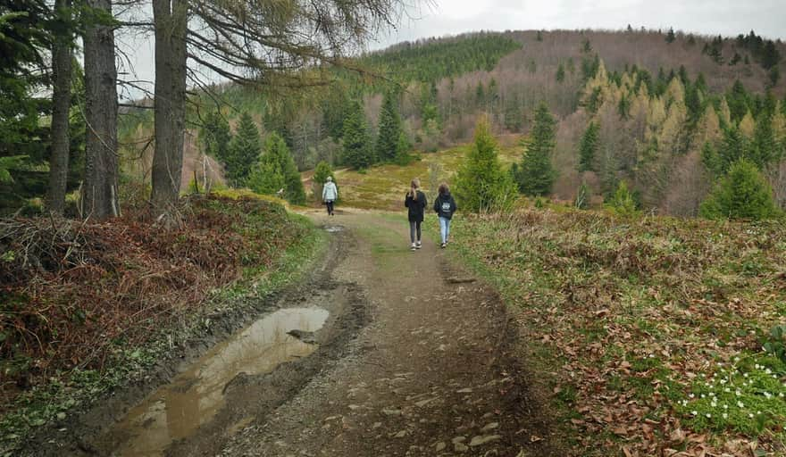 On the way to Mogielica from Półrzeczki, Polana Przysłopek