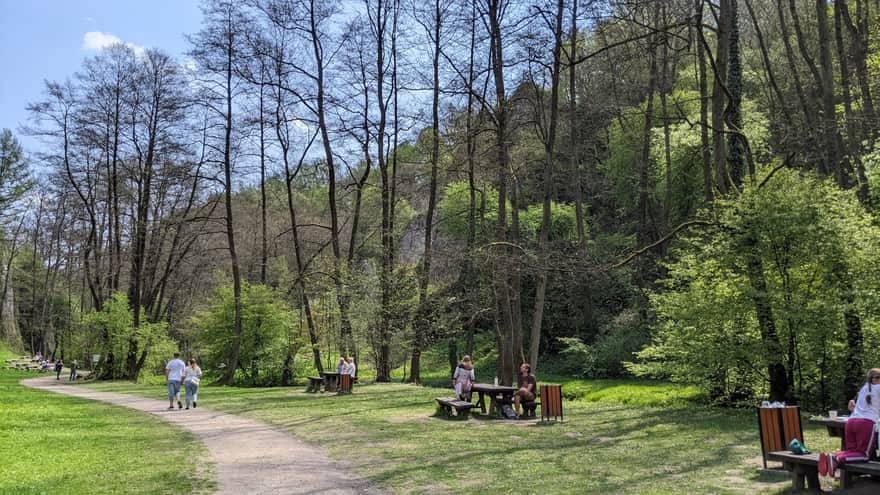 Mnikowska Valley - picnic meadow