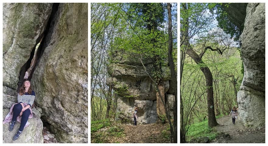 Zimny Dół Reserve - educational trail