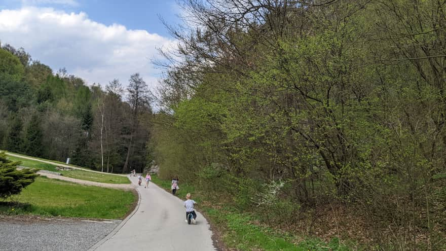 Rezerwat Zimny Dół - szlak czerwony dla wózków i rowerów