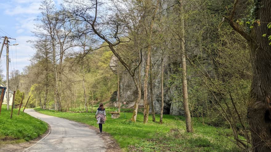 Rezerwat Zimny Dół - szlak czerwony dla wózków i rowerów