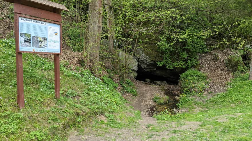 Rezerwat Zimny Dół - źródło w Zimnym Dole