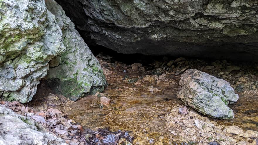 Zimny Dół Reserve - spring