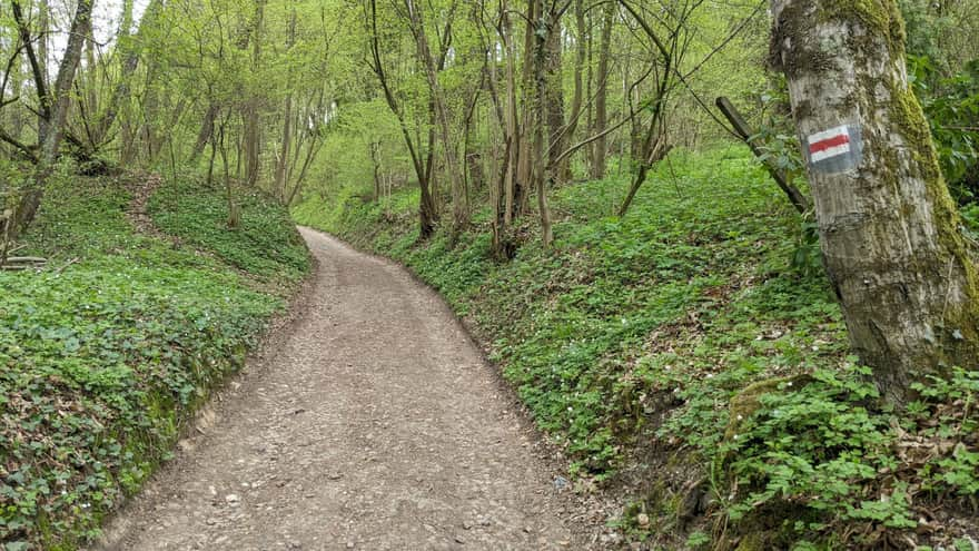 Rezerwat Zimny Dół - szlak czerwony dla wózków i rowerów