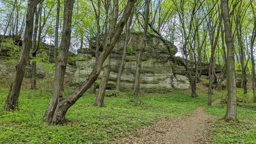 Zimny Dół Reserve - red trail for strollers and bicycles, rocks seen from the trail