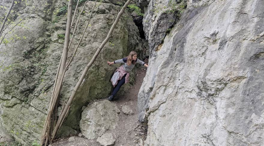 Zimny Dół Reserve - educational trail