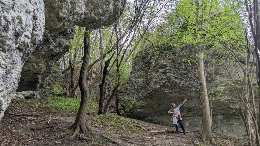 Zimny Dół Reserve - educational trail