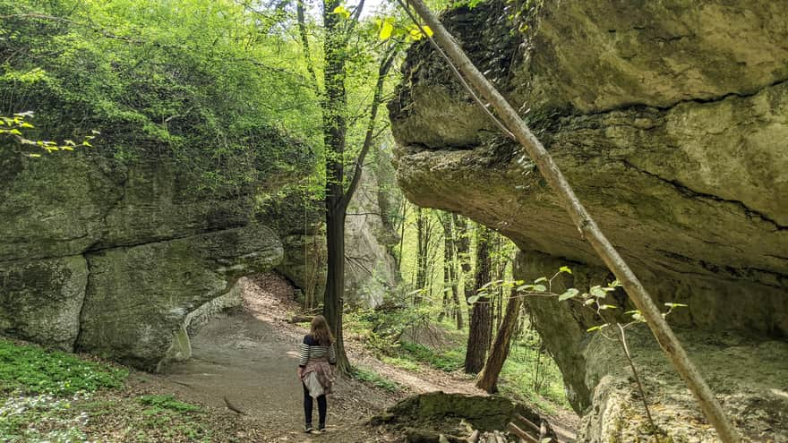 Zimny Dół Reserve - educational trail