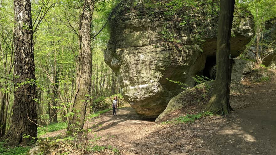 Zimny Dół Reserve - educational trail