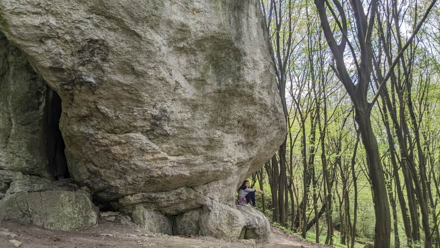 Zimny Dół Reserve - educational trail